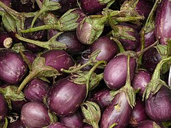 Dolmalık balcan (Turkish: Dolmalık patlıcan) is a variant of smaller eggplants that are specifically used for dolmas.
