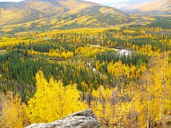 Boreal forest in Alaska has a subarctic climate