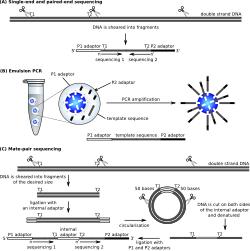 Library preparation for the SOLiD platform