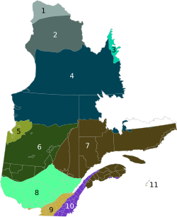 Different forest areas of Quebec: 1. Middle Arctic Tundra 2. Low Arctic Tundra 3. Torngat Mountain Tundra 4. Eastern Canadian Shield Taiga 5. Southern Hudson Bay Taiga 6. Central Canadian Shield Forests 7. Eastern Canadian Forests 8. Eastern Forest/Boreal Transition 9. Eastern Great Lakes Lowland Forests 10. New England/Acadian Forests 11. Gulf of St. Lawrence Lowland Forests