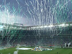 Palmeiras' supporters at Nubank Parque