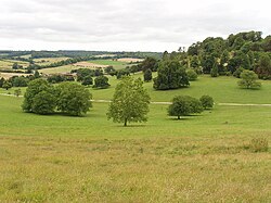 Stonor Deer Park