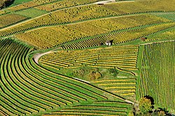 Aerial view of vineyards in Markgräflerland, Baden, Germany