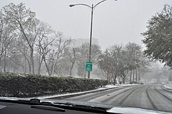 Turtle Creek Park during a snowfall of winter