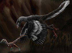 Restoration of Archaeopteryx chasing a juvenile Compsognathus