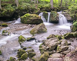 Stream near Montriond in south-eastern France