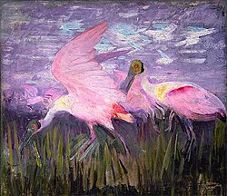 In Roseate Spoonbills 1905–1909, Abbott Handerson Thayer tried to show that even the bright pink of these conspicuous birds had a cryptic function.