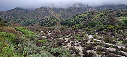 A normally dry, chaparral ecosystem following a successful wet season in Southern California