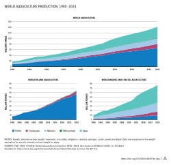 World aquaculture production, 1990 - 2024