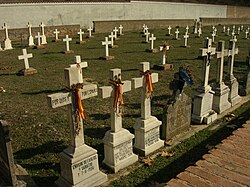 Victims of the Paracuellos massacre committed by the Republicans. The Republicans committed many acts of torture, murder, and war crimes throughout the war known as the Red Terror (Spain).