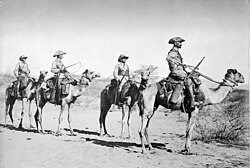 Four German soldiers in a Camel-Schutztruppe patrol, 1906