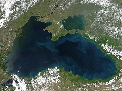 Phytoplankton blooms and plumes of sediment form the bright blue swirls that ring the Black Sea in this 2004 image.