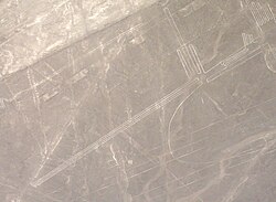 The frigate bird painted in the Nazca desert.