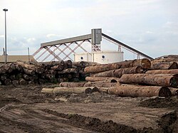 Timber for export at the Port of Pointe-Noire