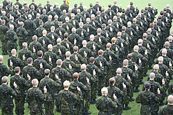 Finnish soldiers taking the Finnish Defence Forces military oath