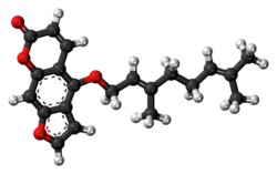 Grapefruit juice contains bergamottin, one of the furanocoumarins which inhibit the metabolism of many drugs, causing multiple side-effects.[21]