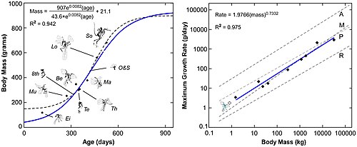 Growth trends compared with other dinosaurs and birds
