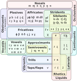 Euler diagram showing a typical classification of sounds (in IPA) and their manners of articulation and distinctive features