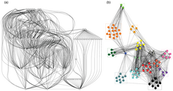 The graphic displays a food web of Secaucus High School Marsh without grouping/communities (left) and the food web with communities (right).