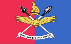 The flag of the Zimbabwe Defence Forces