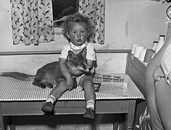 A young boy holding a tame red fox