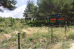 Example of one of the first genetic reserves established to conserve CWRs near Kalakh al Hosn, Syria