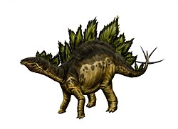 Stegosaurus, a large ornithischian dinosaur from the Late Jurassic