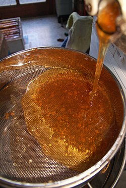 Filtering from a honeycomb