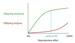 Iteroparous reproductive effort