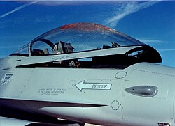 F-16 jet fighter after bird strike