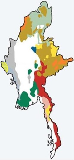 The yellow-green striped section show the approximate location of the Rohingya in Myanmar