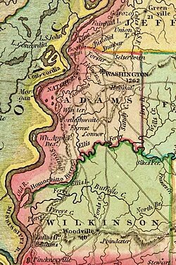 Detail from an 1823 map of Mississippi, showing the location of Washington, the territorial capital where the legislature held session