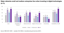 Obstacles faced by small and medium enterprises when investing in digital technologies