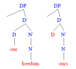 Examples of "our" as a determiner or a noun