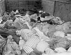 Bodies in the Dachau death train, after its arrival on April 28 in Dachau