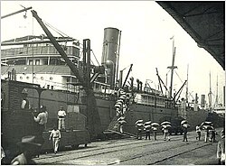 Coffee transportation at the port in 1895