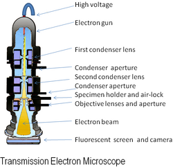 Transmission Electron Microscope