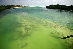 The Sian Ka'an Biosphere Reserve, Mexico