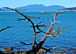 Rosario Strait seen from Washington Park, Anacortes, WA