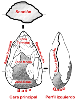 Basic scheme for the morphological description of an Acheulean hand axe.