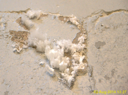 Effects of high humidity level in a building structure (primary efflorescence)
