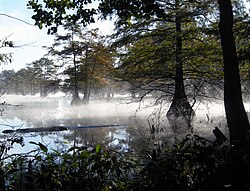 Steinhagen Reservoir