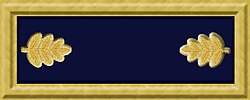 U.S. Army major rank insignia during the 1860s