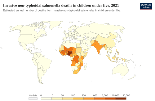 Child deaths from invasive non typhoidal salmonella