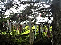 Clootie tree next to St Brigid's Well, Kildare, Ireland