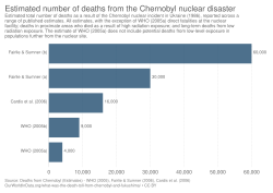 Estimated number of deaths from the disaster