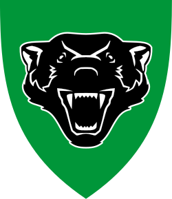 Badge of the Assault Squadron 4 of the Armoured Battalion. It is used on vehicles, uniforms and barracks.
