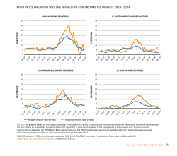 Food price inflation was the highest in low-income countries, 2019–2024