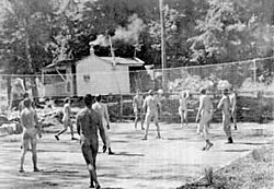 A nudist/naturist volleyball game at the Sunny Trails Club during the 1958 Canadian Sunbathing Association (CSA) convention in British Columbia, Canada