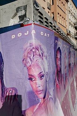 Spotify increased Doja Cat's popularity.